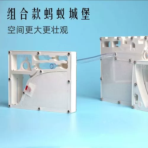 自制蚂蚁生态箱